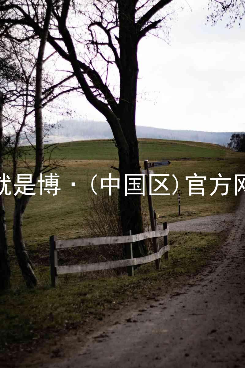 人生就是博·(中国区)官方网站z6